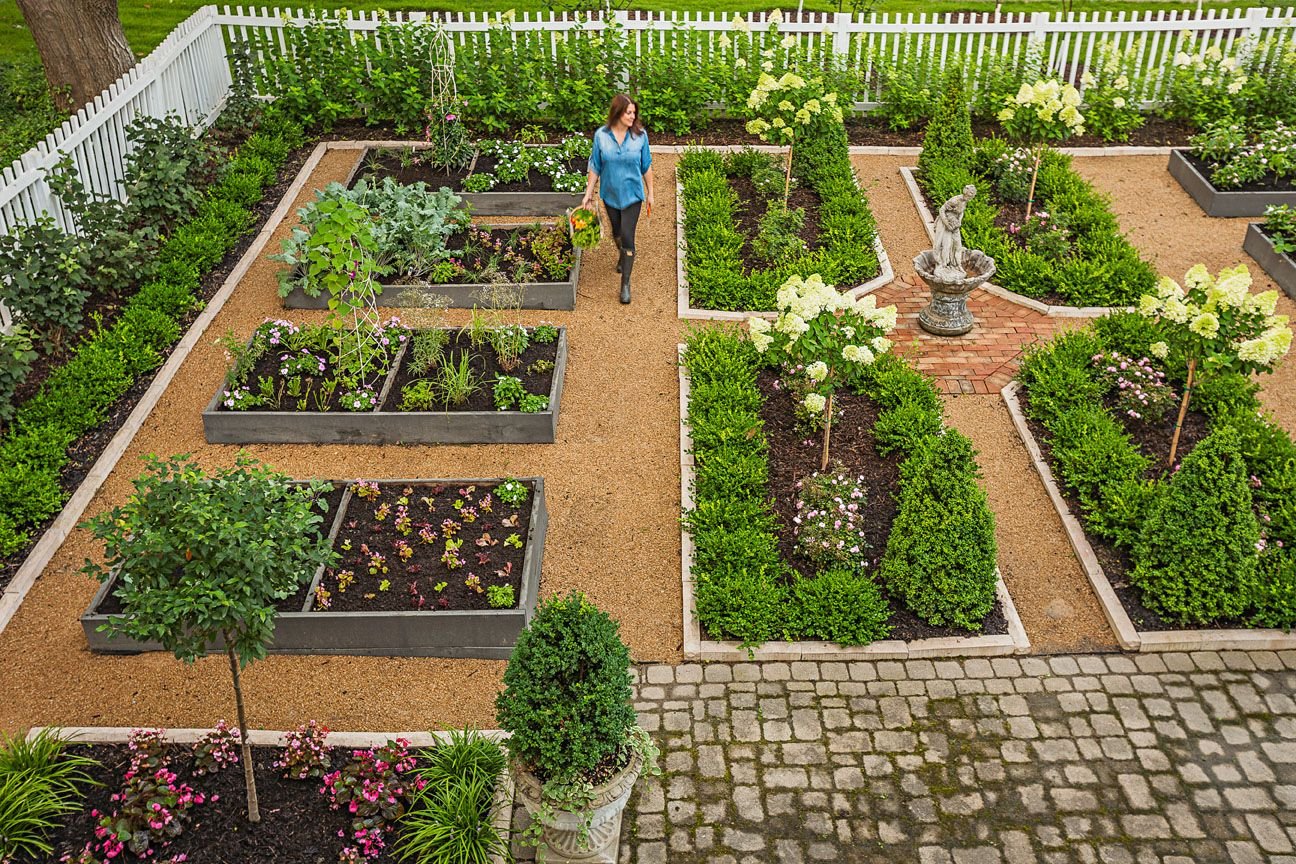 Сад и огород: от проращивания до высадки