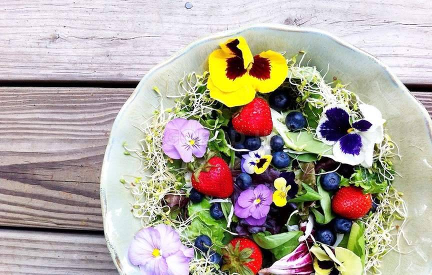 Цветочная кулинария — «съедобные» цветы