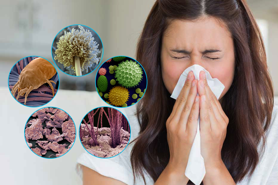 Профилактика и лечение пылевой аллергии