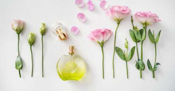 Какие ноты в парфюмерии помогут вам справиться с осенней хандрой